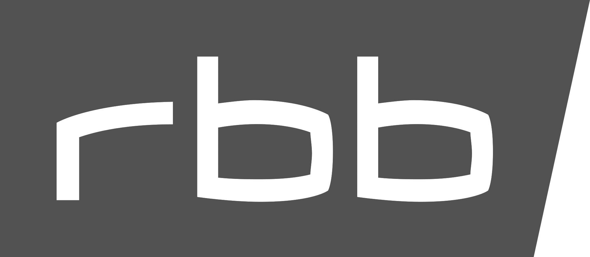 Logo ZIBB im RBB Fernsehen